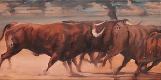 Toros de Dehesa Frias study 1