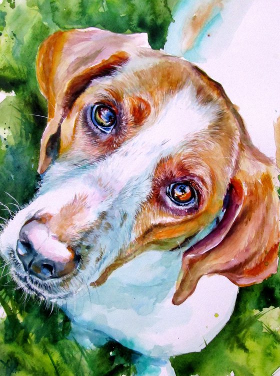 Cute dog