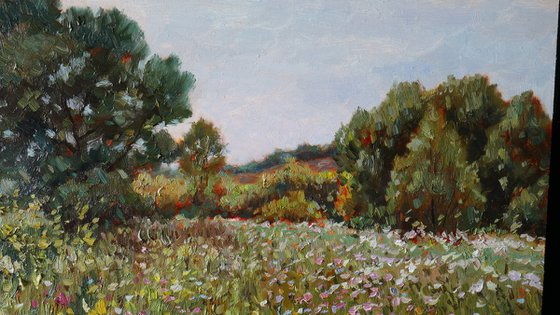 The Wildflower Rhapsody