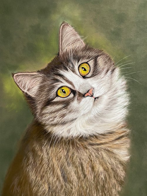 Cat by Maxine Taylor
