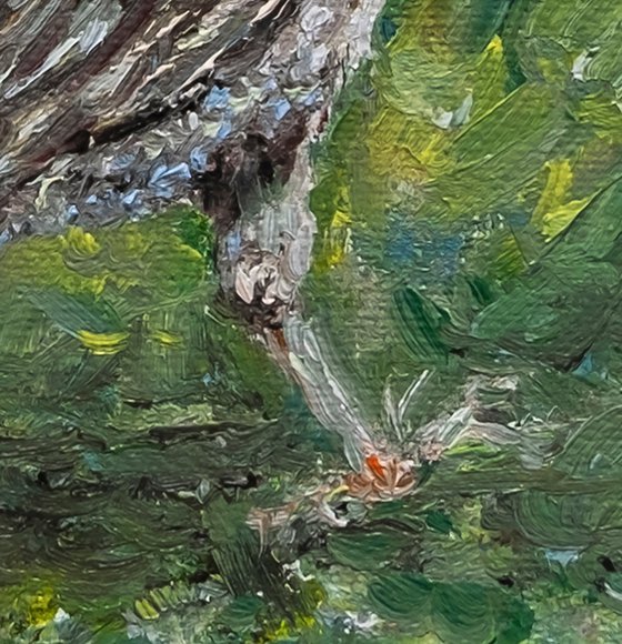 The Sparrow