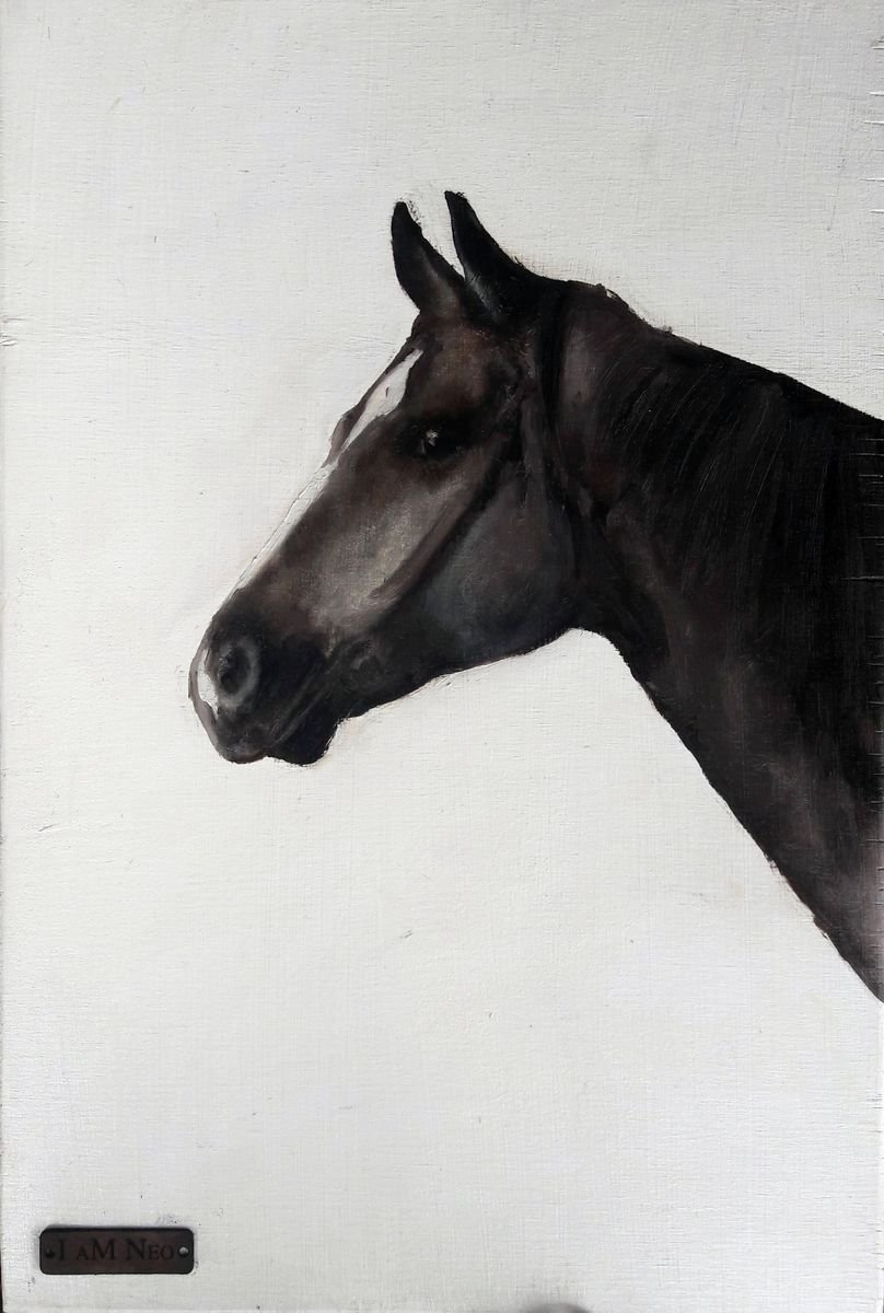 Contemporary horse portrait on wood by Ivana M. Neo