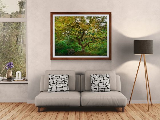 TREE OF LIFE