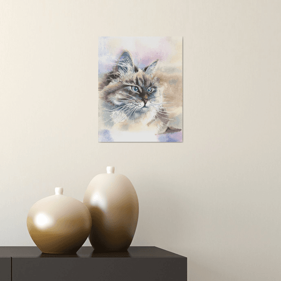 Cat portrait in soft colors