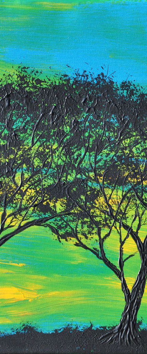 Sunset In Trees 1 by Daniel Urbaník
