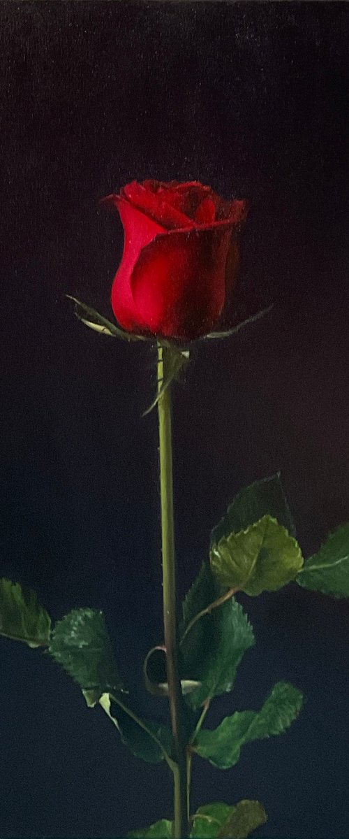Adrenalin. Realistic rose by Alla Kallass