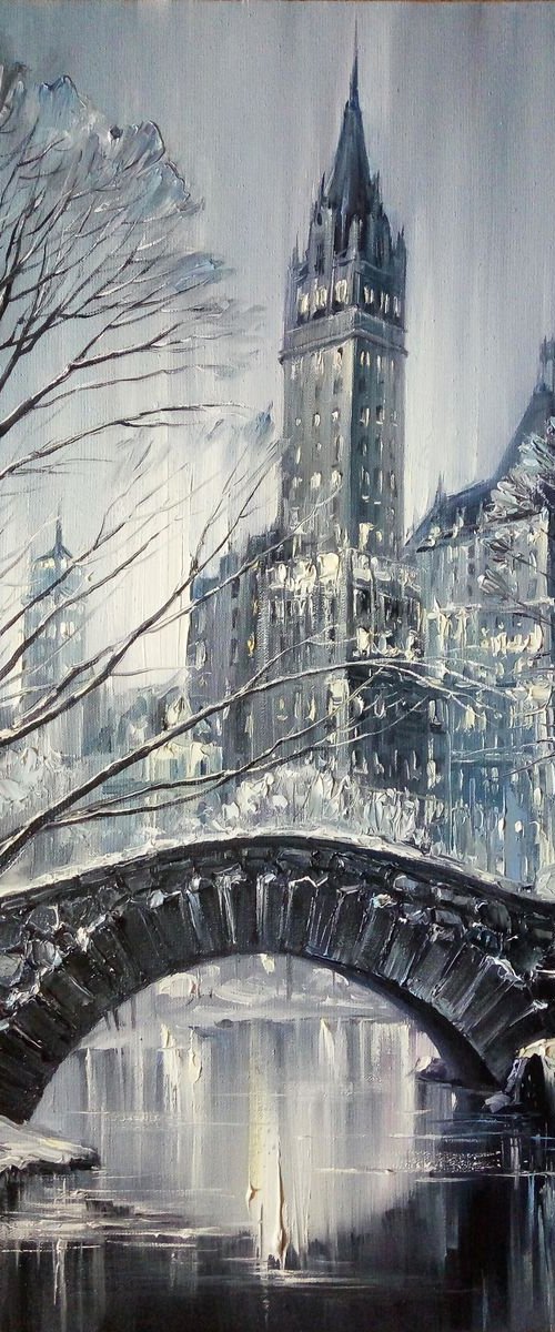 Winter In Central Park by Artem Grunyka