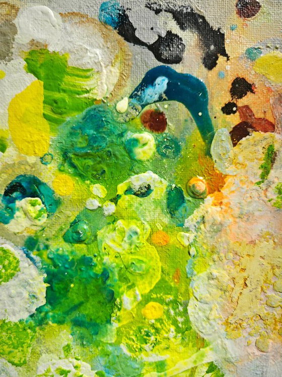 Tender Springlight N°3