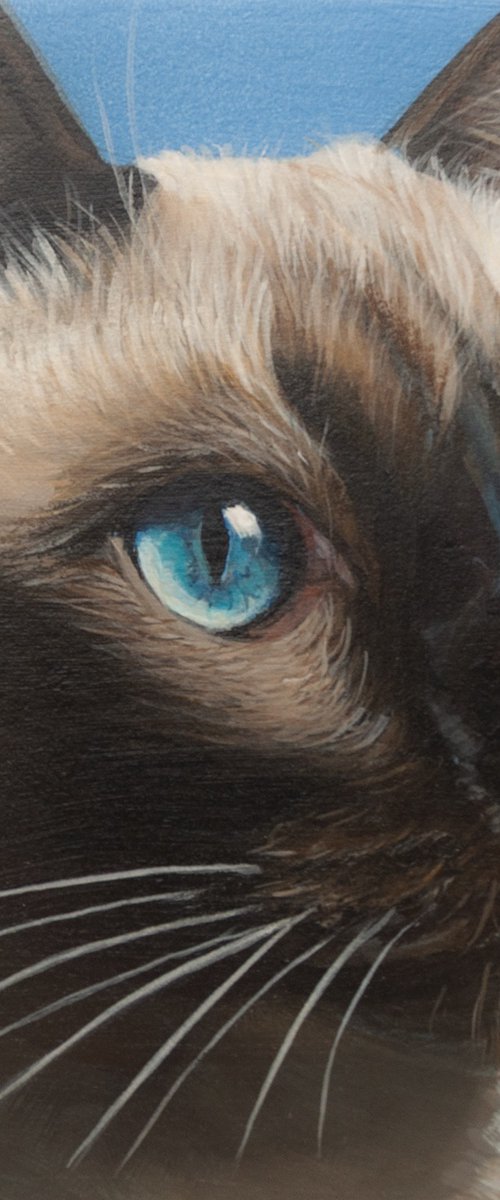 Sky Eyes by Norma Beatriz Zaro