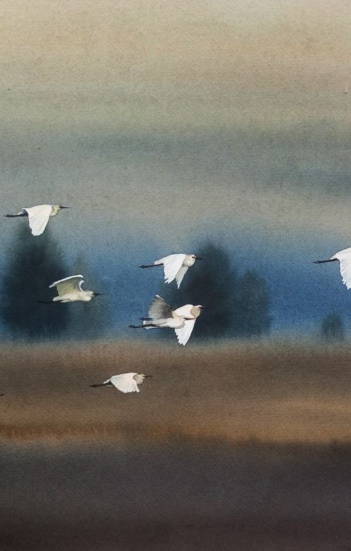 Flock of white herons -  Great by Olga Beliaeva Watercolour