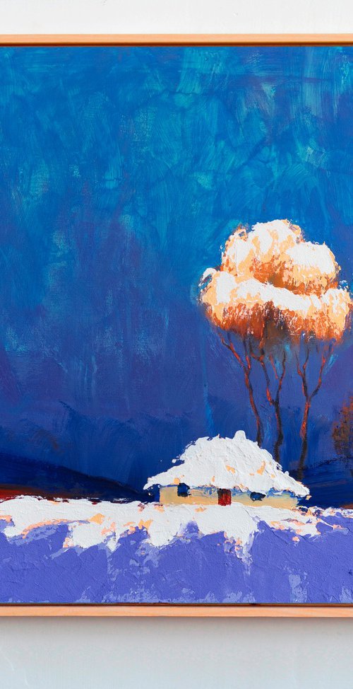 Hidden Beneath Snow by Bohdan Katolyk