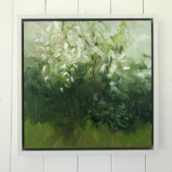blossom