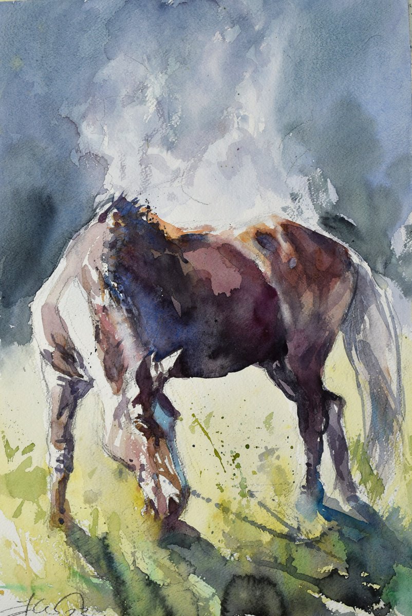 Expressive Animal Watercolour By Goran Zigolic Watercolors, 15 X 22, Horse Steam 2, Original Artwork