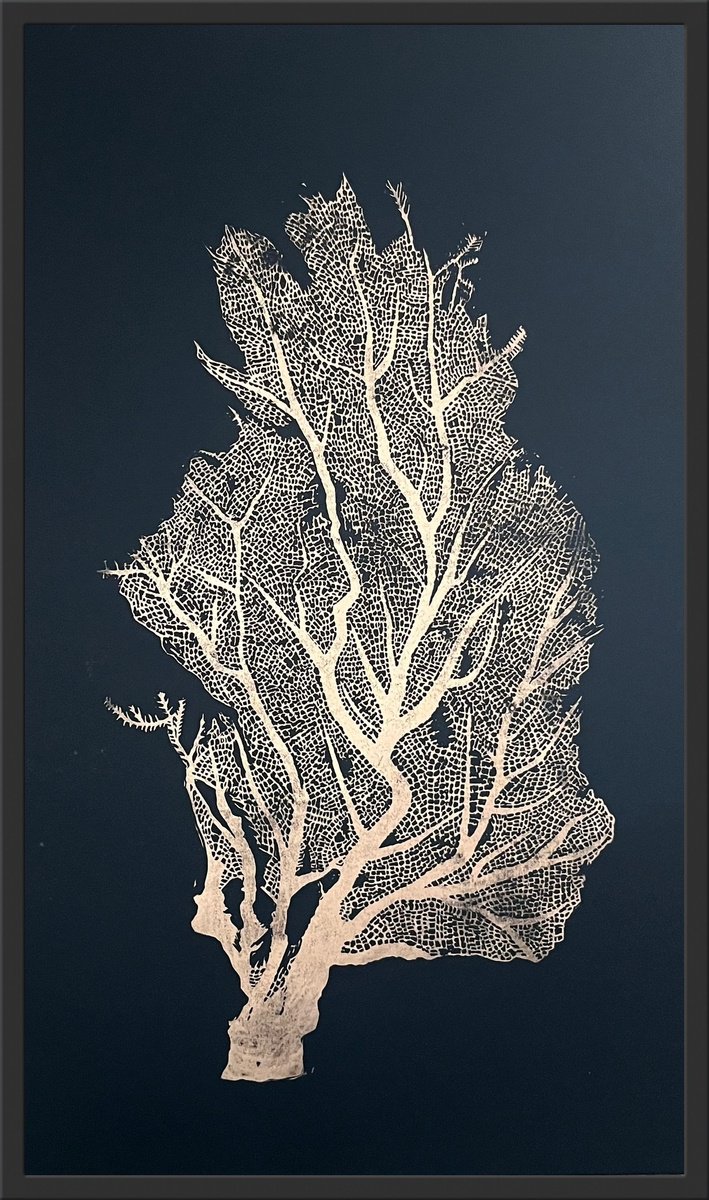 Linocut , Sea Fan By Amy Cundall, 15 X 26, Artwork For Sale On Artfinder