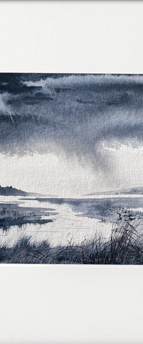 Monochrome raining marshland by Teresa Tanner