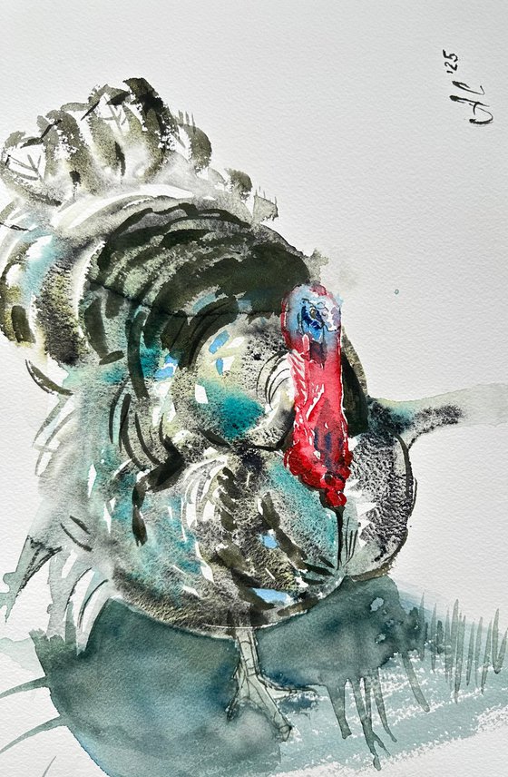 Birds: Turkey and Rooster