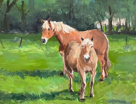 Horses in a meadow