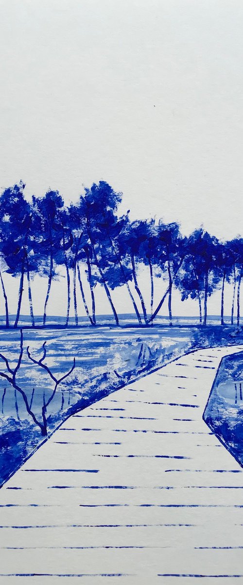 The marshes of Mousterlin by Cadiou Frederic