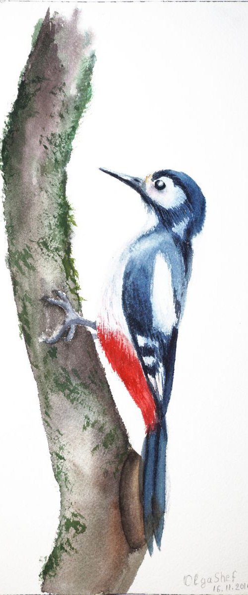 Woodpecker art ORIGINAL WATERCOLOR by Olga Tchefranov (Shefranov)