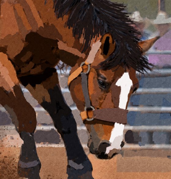 RODEO