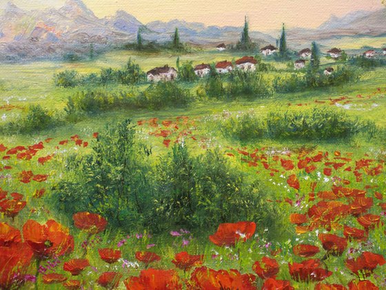 Sunrise on the poppy field