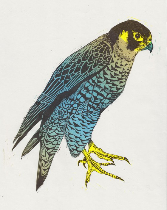 Falcon