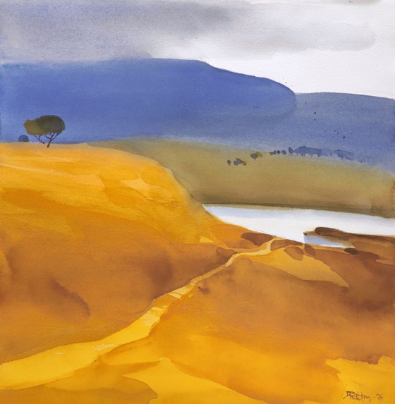 Indian summer yellows & blues