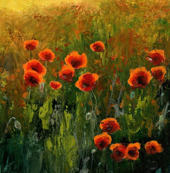 'Sunset poppies'