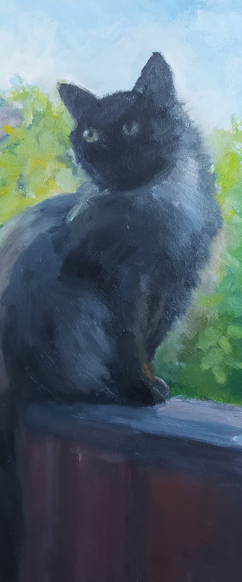 Very smart cat by Valentina Andrukhova