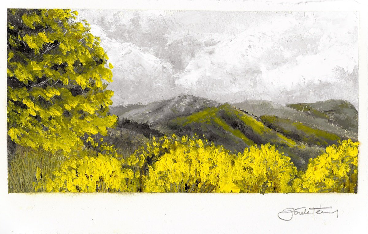 Expressive Oil Painting , Landscape / Pale Valley By Gozde Temiz Istanbul, 12 X 8, Artwork For Sale On Artfinder