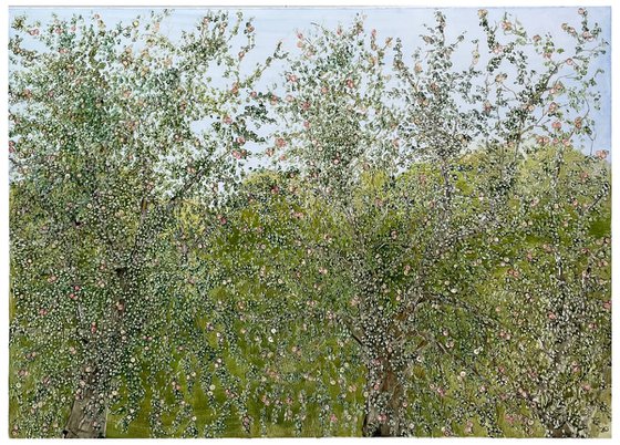 View from the window of an apple orchard.
