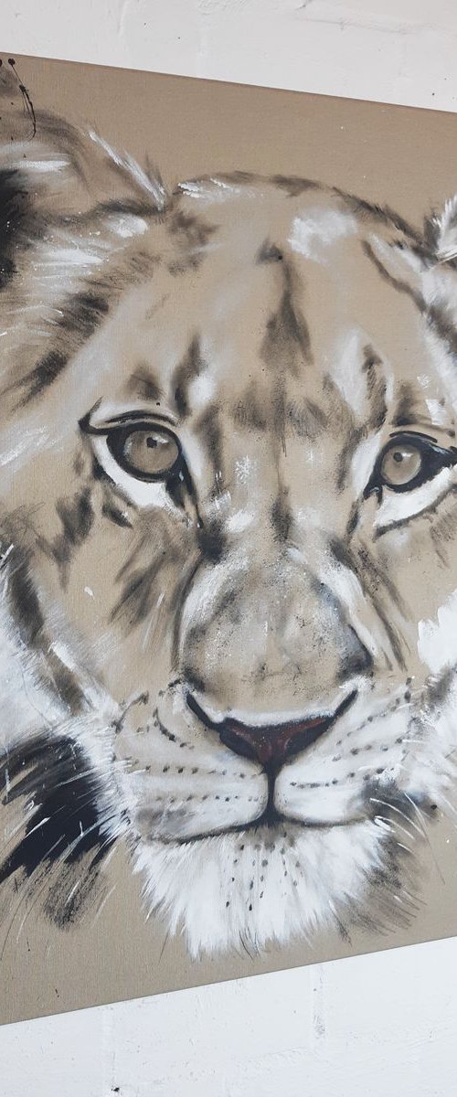 Big Cat - Lioness #4 - Series One of the big five by Stefanie Rogge