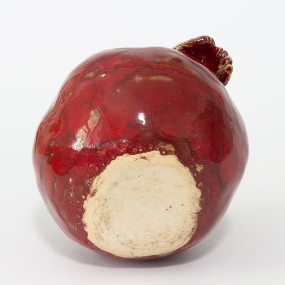 Cicada and pomegranate