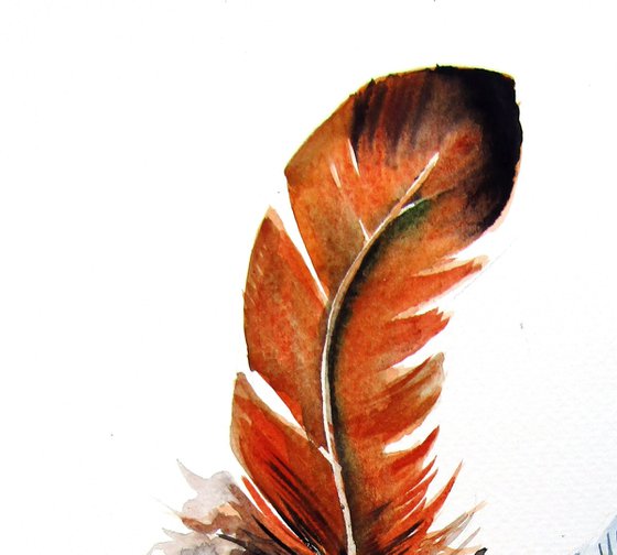 Feathers II