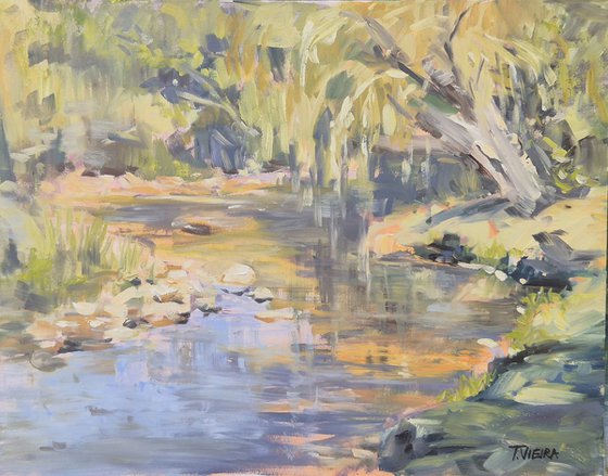 Still Waters