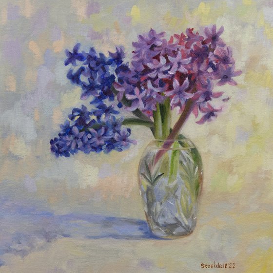 Blue and Pink Hyacinths