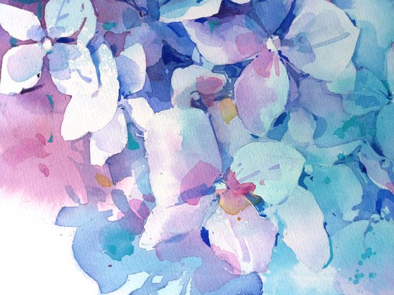 "Hydrangea in romantic color" original watercolor artwork