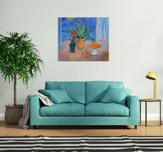 Aloe Vera and cactus