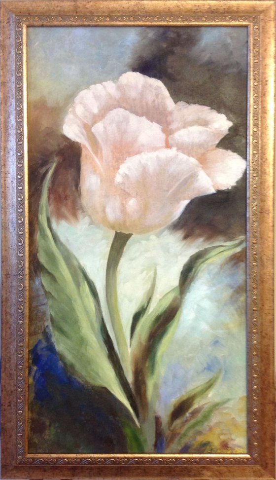 Big pale pink tulip