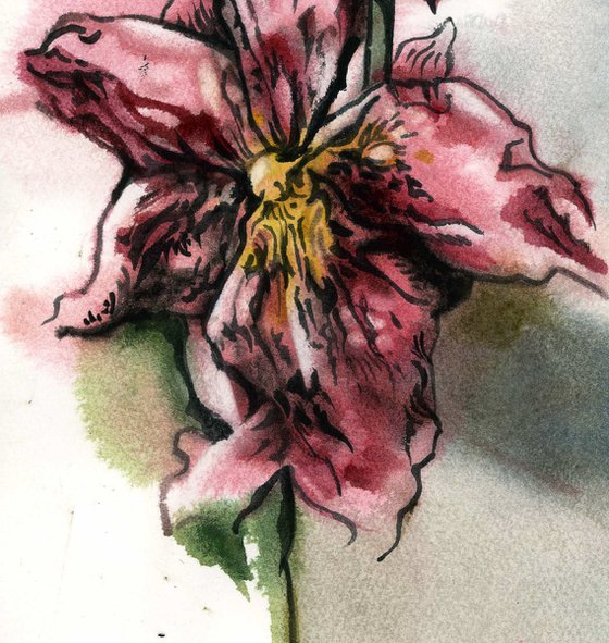 pink oncidium orchid watercolor