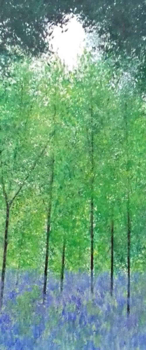 Bluebell Woods II by Jan Rippingham