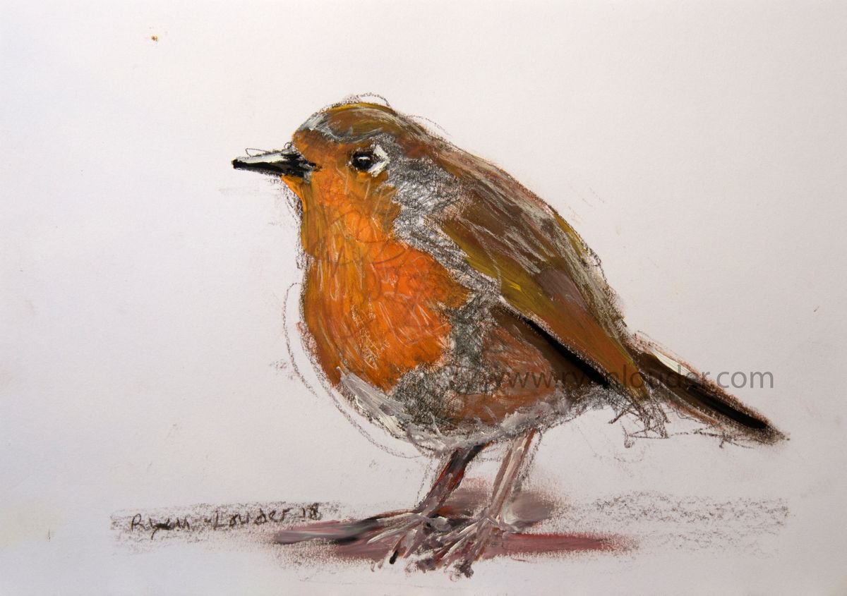 Robin Painting - Robin Red Breast - British Bird Painting by Ryan  Louder