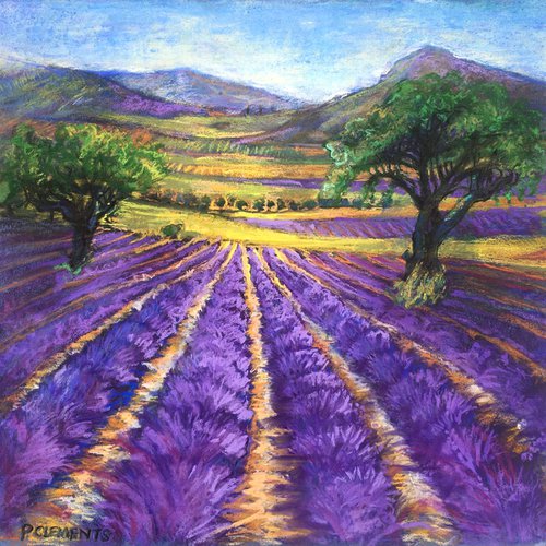 French Lavender Fields by Patricia Clements