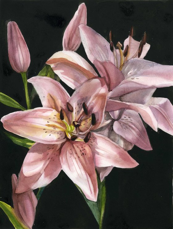 pink lilies