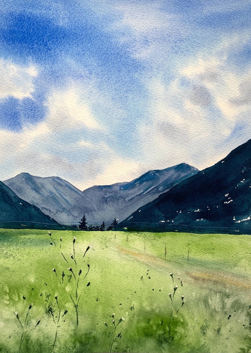 Alpine meadow by Anna Zadorozhnaya
