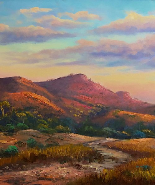 Warm light at Flinders Ranges, SA by Christopher Vidal