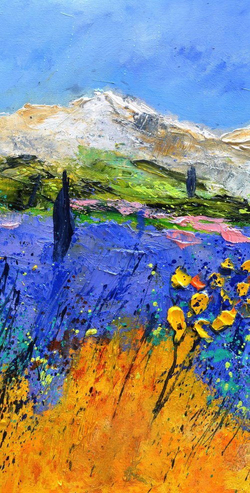 Provence lavender  5622 by Pol Henry Ledent