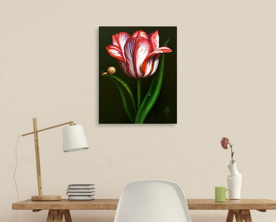 Tulip and snail