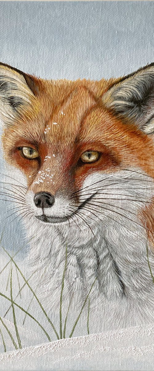 Red Fox In The Snow by Yvonne B Webb