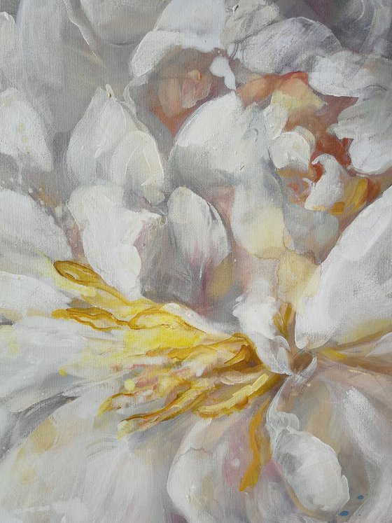 “In the light.Peony”